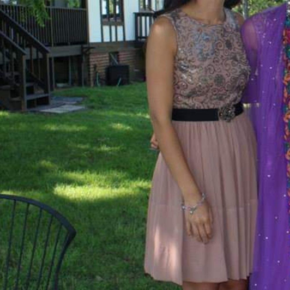 Max & Cleo Taupe Embellished Tulle Dress